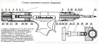 18_gun350_2.webp
