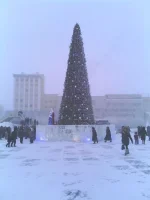 IMG_20121215_154214 (2).webp