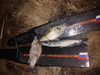 rps20151227_123410.webp
