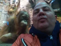 1917055_996998497032296_2464421752153221491_n.webp