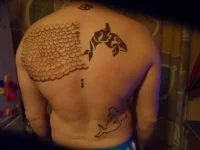 SAM_2172.webp SAM_2172.webp