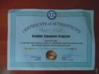 SAM_1908.webp SAM_1908.webp