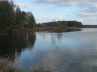 SAM_1393.webp