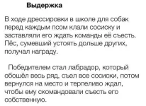 FB_IMG_1453353955700.webp