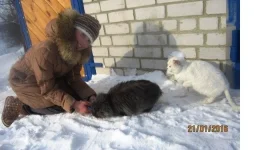 7018556.webp