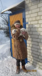 7018568.webp