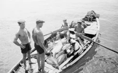 45636766rtl_l003.webp