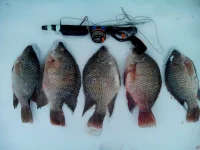 IMG_20160128_123724.webp