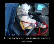 114c_small-Р.webp