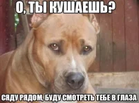 slkbUtvEy30-К.webp