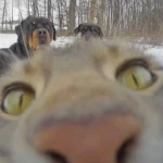 bdxzVE9C9L4.webp