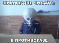 FB_IMG_1455469480001.webp