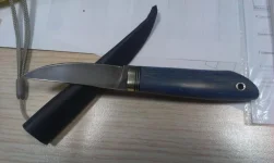 IMAG1555.webp