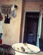 image (1).webp