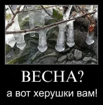 r0udyq1o132o.webp