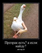 dm_temp_image_31104160735129114588.webp