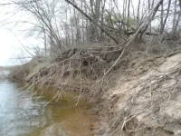 SAM_2405.webp