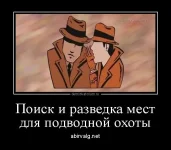dm_temp_image_31704160304158793688.webp
