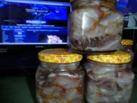 SAM_2495.webp SAM_2495.webp