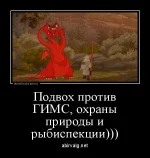 dm_temp_image_32504161654074321225.webp