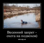 dm_temp_image_32804160101036290831.webp
