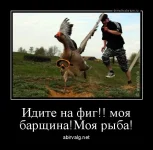 dm_temp_image_32904161527554646103.webp