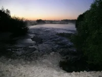 DSCN6713.webp