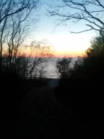 IMG-1462474527224-V.webp