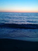 IMG-1462474656462-V.webp