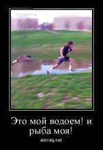 dm_temp_image_31005161701552681182.webp