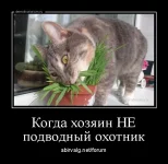 dm_temp_image_3150516232328275467.webp