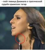 FB_IMG_1463370137651.webp