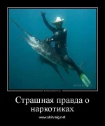 dm_temp_image_32305160004502295288.webp
