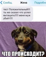 1464108494_23.webp