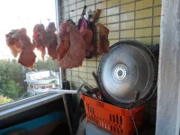 SAM_2010.webp SAM_2010.webp