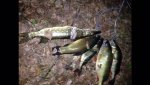 IMG-20160605-WA0002.jpg