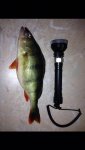 IMG-20160605-WA0004.jpg