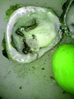 IMG-20160608-WA0000.webp