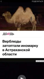FB_IMG_1465394591394.webp