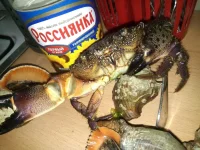 IMG-20160609-WA0000.webp