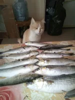 IMG-20160612-WA0000.webp
