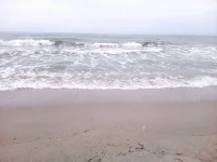 IMG-20160613-WA0001.webp