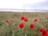 IMG-20160613-WA0000.webp