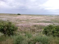 IMG-20160613-WA0002.webp