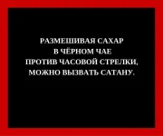 FB_IMG_1465907589678.webp