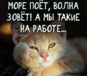FB_IMG_1465914082402.webp