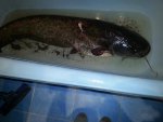 20160617_010744-min.jpg