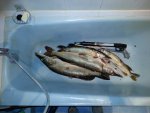 20151009_103354 (1)_1004x753.jpg