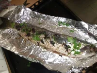 IMG-20160622-WA0002.webp
