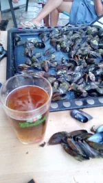IMG-20160622-WA0001.webp